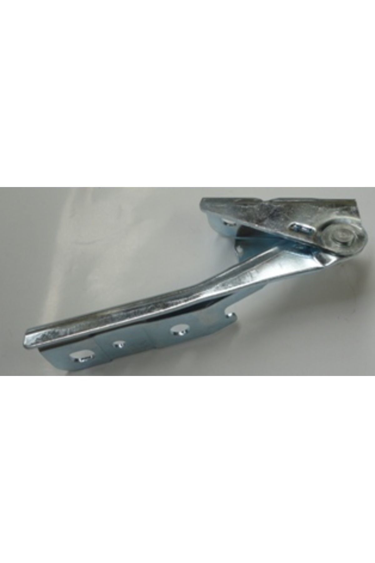 Hyundai Santa Fe 01/05 Kaput Menteşesi Sağ (Tyg)