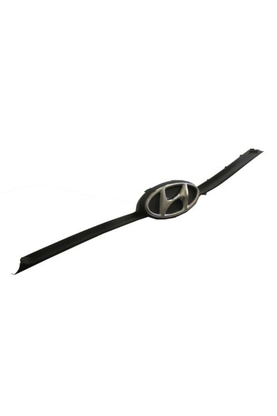 Hyundai I10 16/19 Ön Panjur Siyah