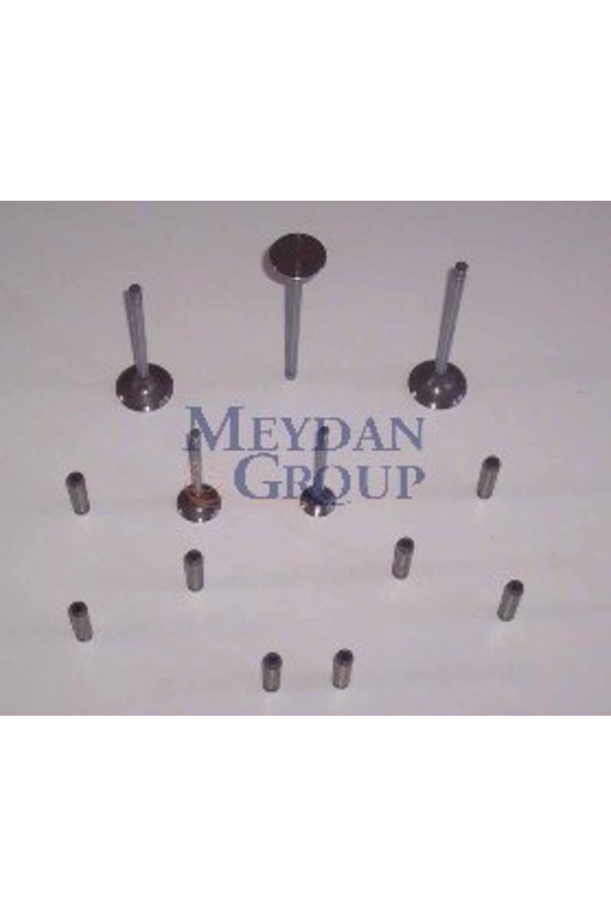 Toyota Corolla Ae101 93/98 Emme Supapı 8li (4af) 1.6cc Karbüratorlü (Arm)