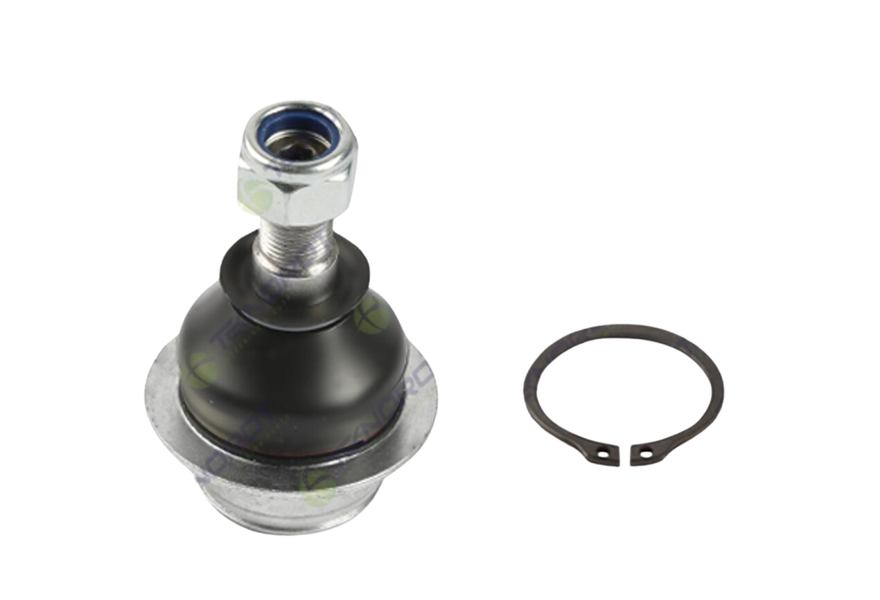 Connect 02- V184 Rotıl