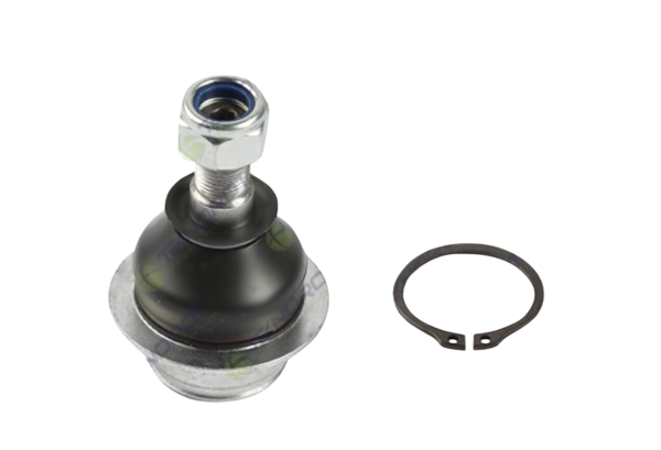 Connect 02- V184 Rotıl